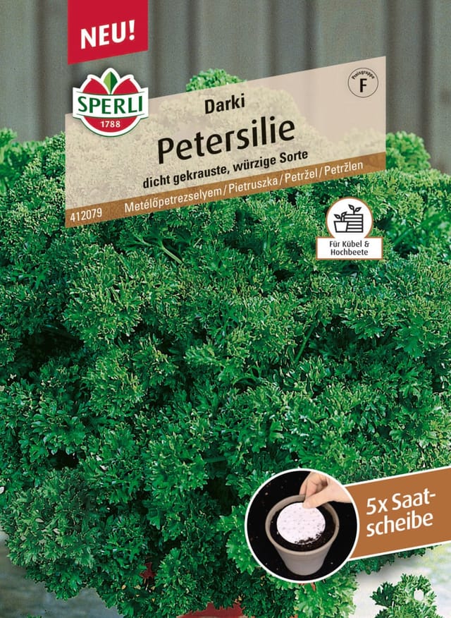 Sperli Saatgut Petersilien Darko für ca. 5 Stück