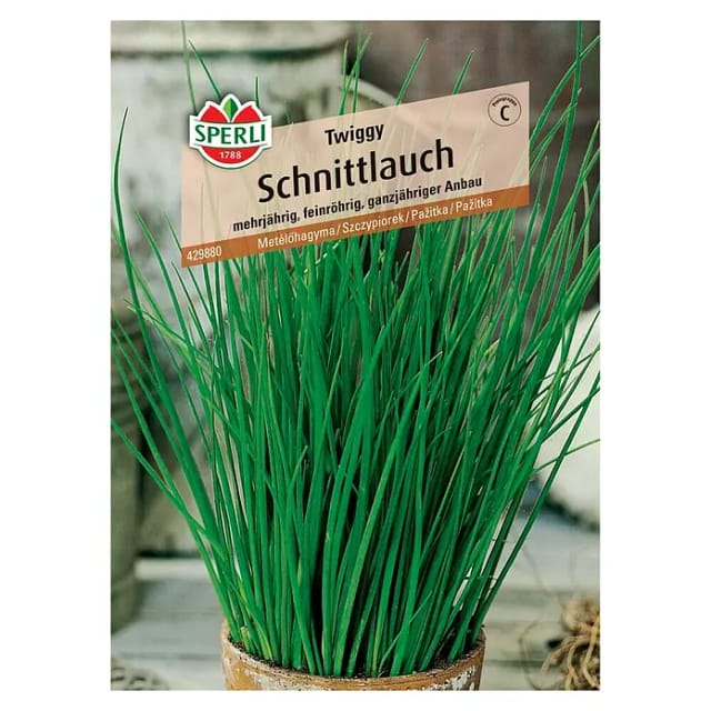 Sperli Saatgut Schnittlauch Twiggy für ca. 1 – 1,75 m²