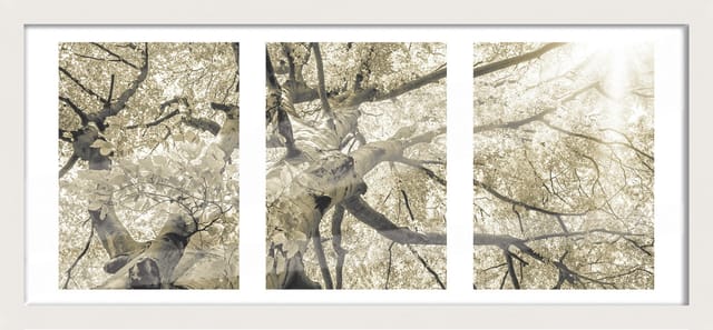Bilderrahmen Holz Luzern weiß 23 x 50 cm