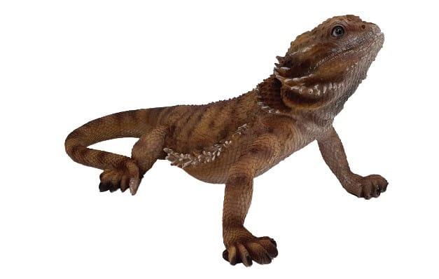 Dekofigur Bartagame 34 x 20 cm braun