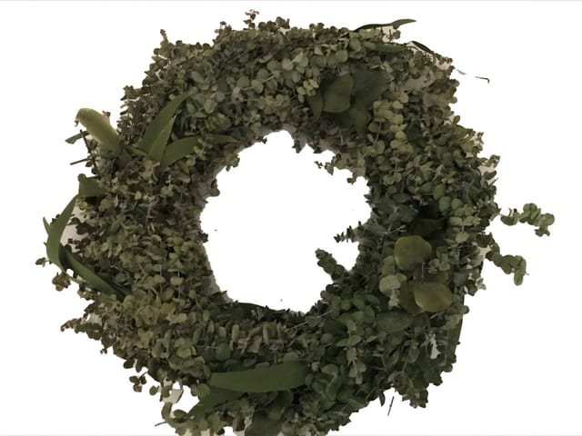 Freese Eukalyptus-Kranz Römer Ø 40 cm, präpariert