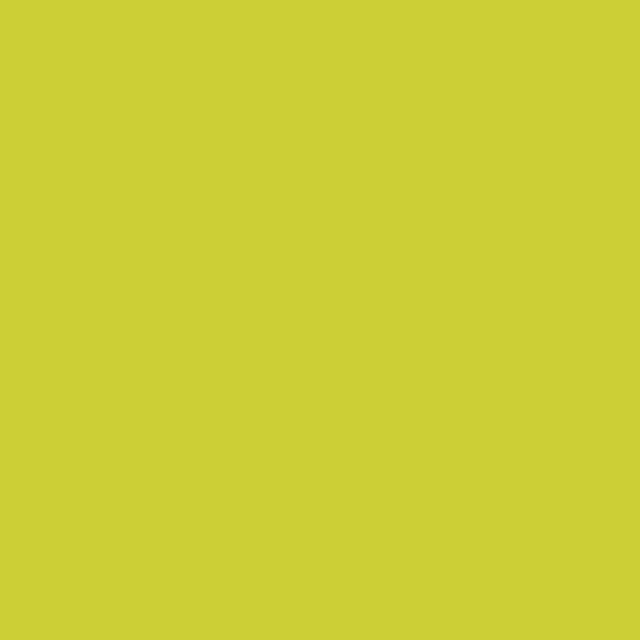 Duni Servietten kiwi 40 x 40 cm - 12er Pack
