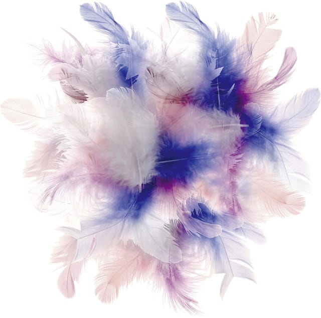 Glorex Deco-Federn pastell Mix ca. 30 Stück