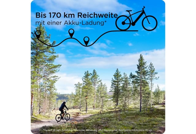 Zündapp E-Bike MTB X1000 29 Zoll 10-Gang 733,57 Wh sunlight magic