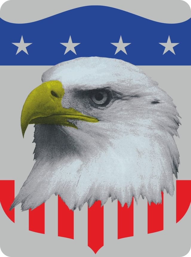 Hermann Schütz Aufkleber US-Flagge/Adler Holografie 150x110mm