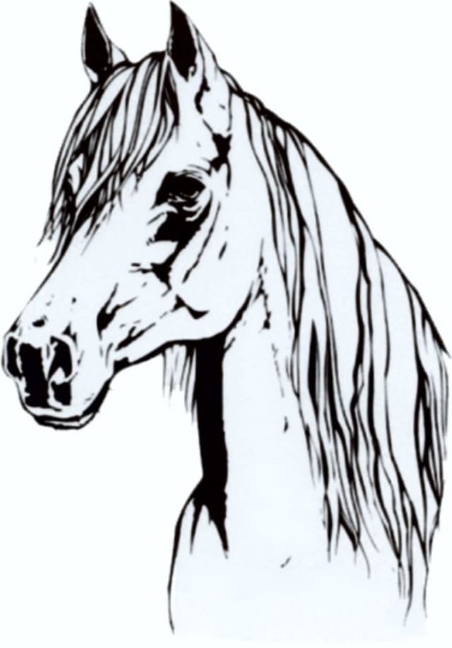 Hermann Schütz Aufkleber Pferd 105x75mm
