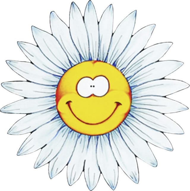 Hermann Schütz Aufkleber Blumengesicht