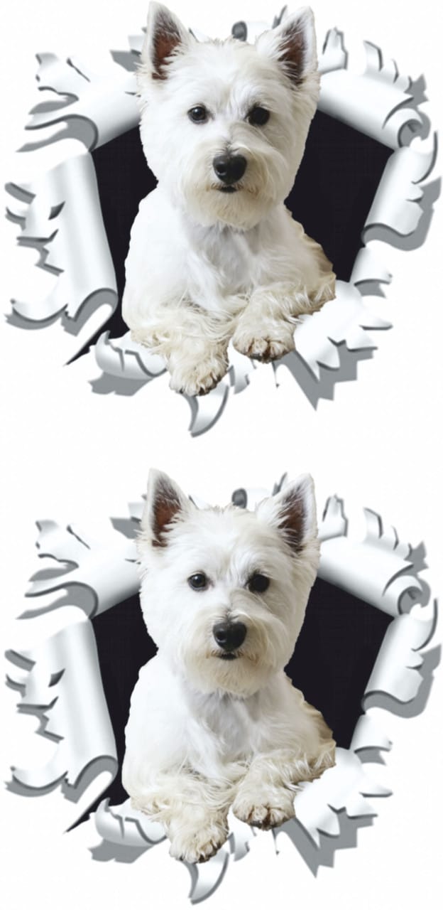 Hermann Schütz Aufkleber West Highland White Terrier 2er-Set
