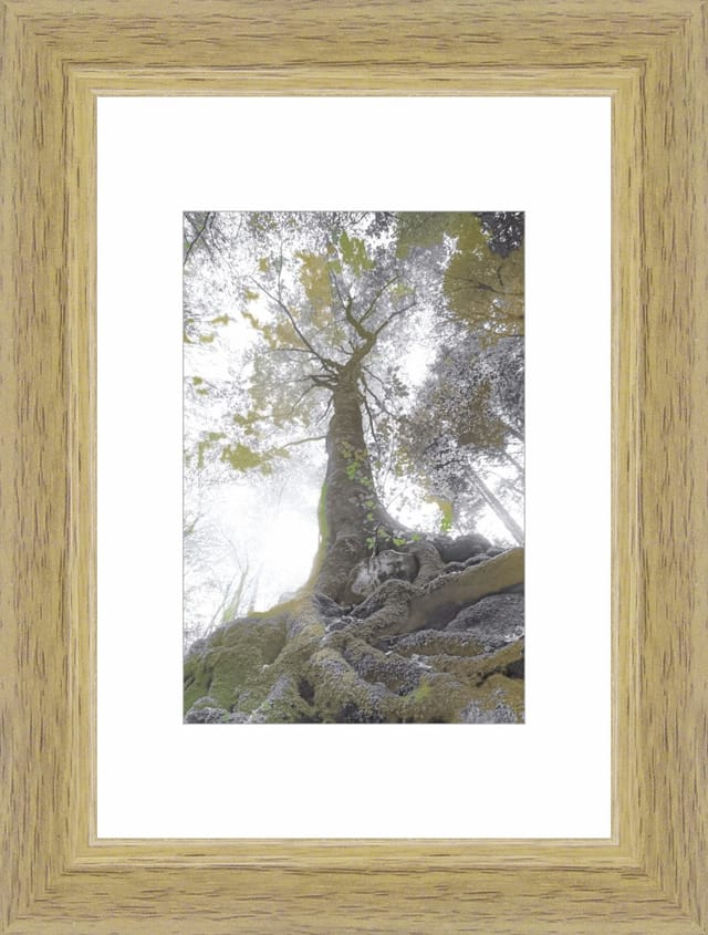 Bilderrahmen Modern eiche, 9 x 13 cm