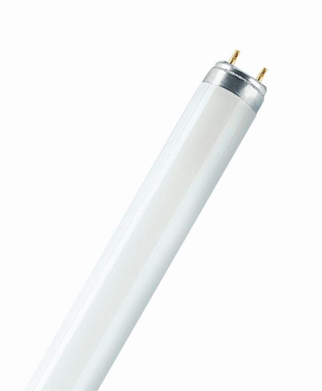 Osram Leuchtstoffröhre G13 58W kaltweiß, dimmbar, weiß matt