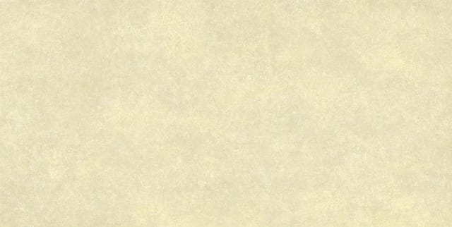 Bodenfliese Feinsteinzeug Absolute 31 x 62 cm beige