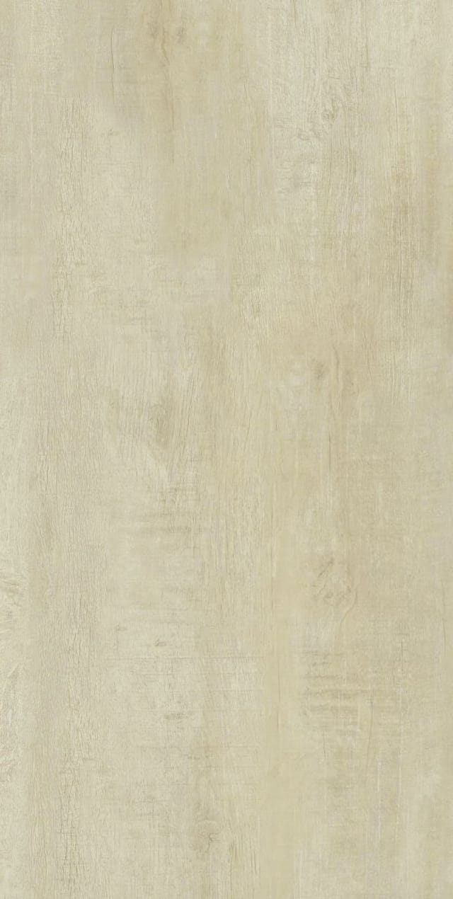 Bodenfliese Feinsteinzeug Country 31 x 62 cm Betulla