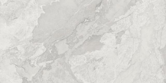 Bodenfliese Feinsteinzeug Mega 60 x 120 cm grau