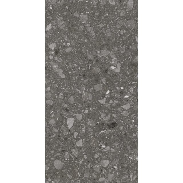 Bodenfliese Feinsteinzeug Terra 60 x 120 cm anthrazit