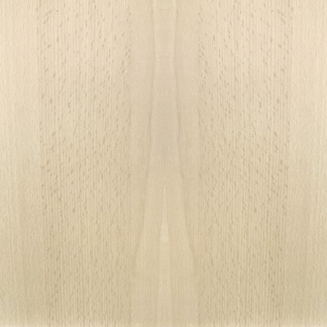 FN Neuhofer Flachleiste 210 cm 29 x 10 mm Buche