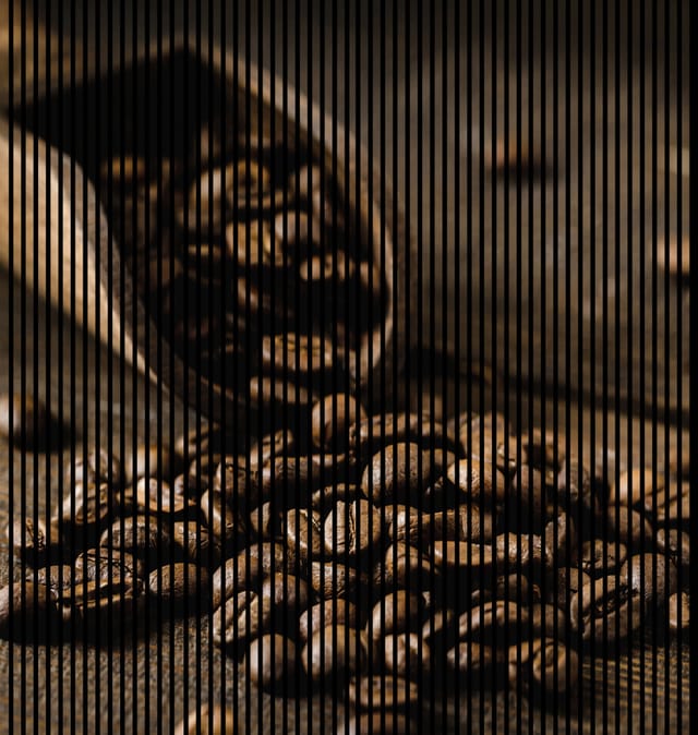 Neuhofer Akustikpaneele Kaffee 240 x 225,3 x 1,9 cm