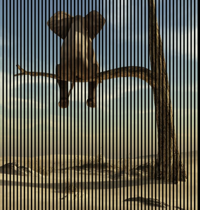Neuhofer Akustikpaneele Elefant 240 x 225,3 x 1,9 cm