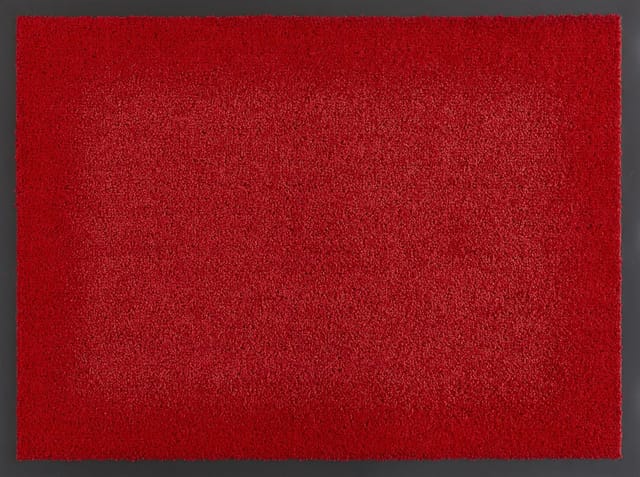 Fußmatte Elektra, rot, 60 x 90 cm