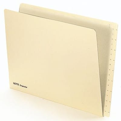 Einstellmappe Orgacolor 24320011 DIN A4 260g Karton chamois