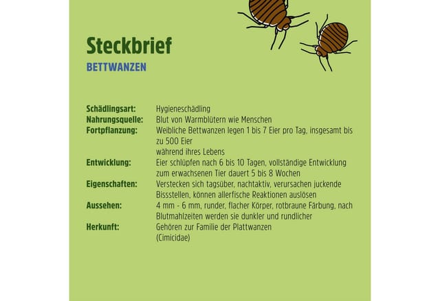 Futura-Shop Insektenfalle Profi Bettwanzenfalle mit Lockstoff, Natürlicher Lockstoff
