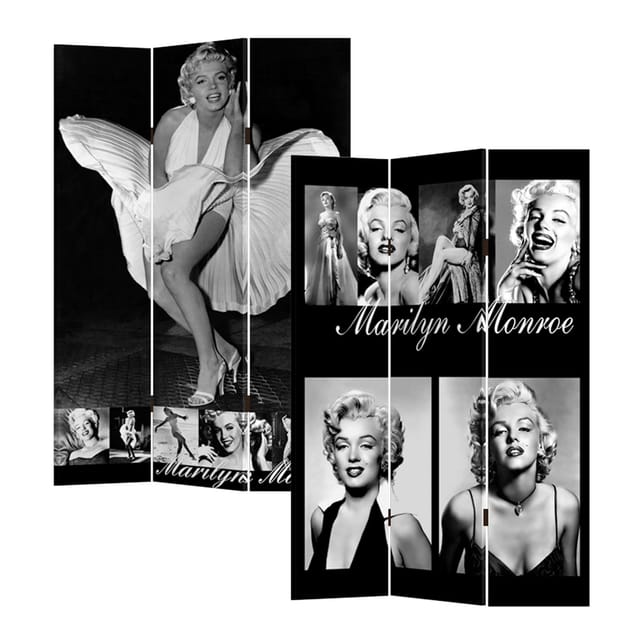 HTI-Line Paravent Paravent Marilyn (Stück, 1 St., 1 Paravent), Raumteiler Sichtschutz Trennwand