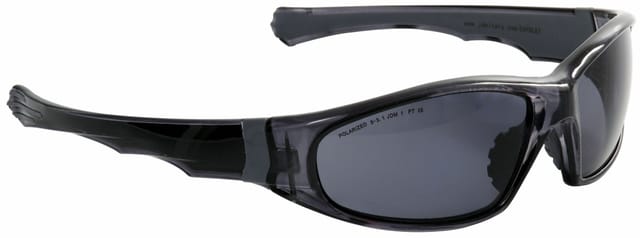 Eagle Schutzbrille Eagle Pol Schwarz/ Grau