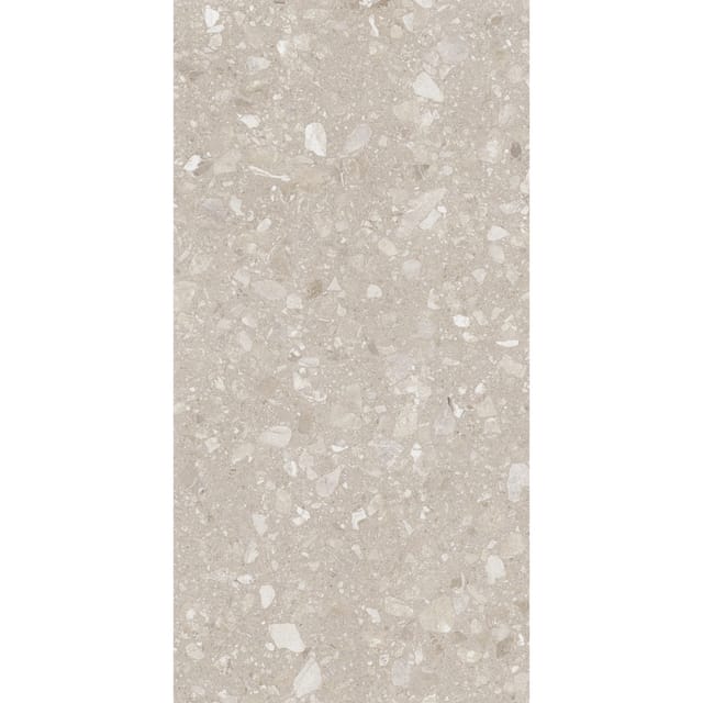 Bodenfliese Feinsteinzeug Terra 60 x 120 cm beige