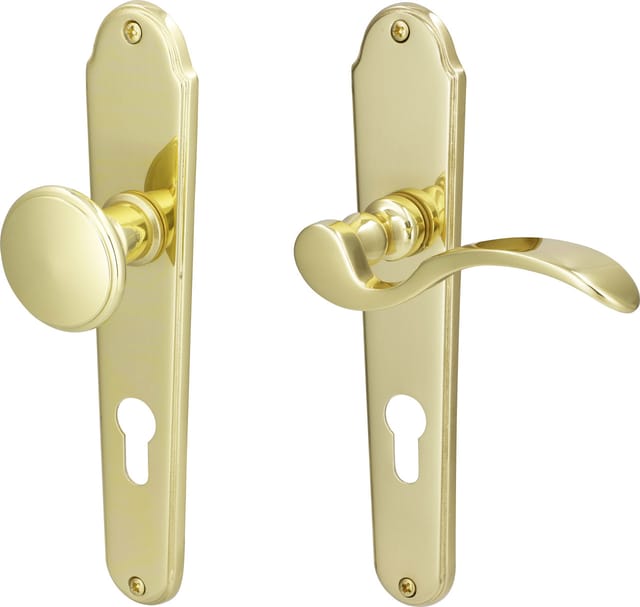 Südmetall Türgriff-Garnitur Langschild Panda PZ Messing poliert Drücker rechts gold 225 x 45 mm