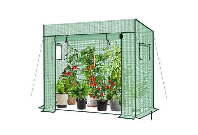 Sekey Gewächshaus Schrägdach Foliengewächshaus Tomatenhaus Begehbares Tomatengewächshaus, 200x77x146/169cm, 140g/m² PE Plane Wasserdicht Wetterfest Pflanzenhaus
