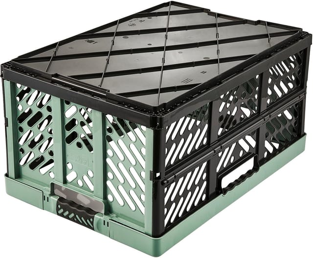 keeeper Aufbewahrungsbox keeeper Profi Klappbox Ben 45,0 Ltr. 54x37x28 cm nordic green