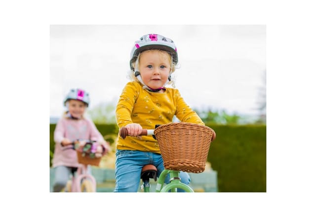 Puky Fahrradkorb 9121 CHAOS KORB – L