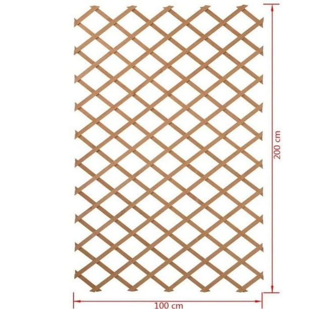 Garten-rankgitter 100x200 Cm Holz Natur 6041703 Nature