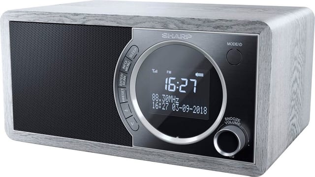 Internet-stereo-radio Dr-450 Gr Grau Sharp