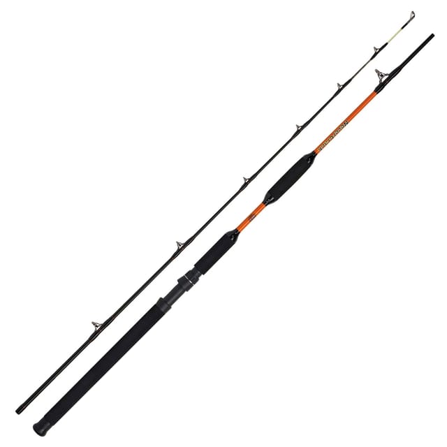WFT Grundrute, (2-tlg), WFT Never Crack Bank Cat II 3,15m 200-1000g 2 Teile Wallerrute