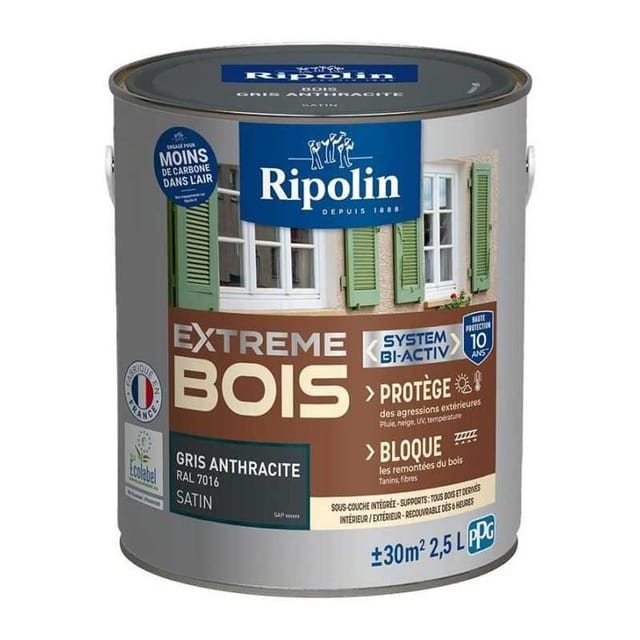 Ripolin Protection Extrême Farbe Grau Anthrazit 2,5 L