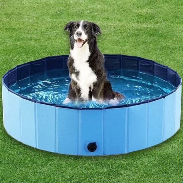 Schwimmbecken Für Kleine Und Große Hunde, Faltbar, Rutschfest, 80 X 20 Cm, Dickes Pvc, Kinder-hundebecken.