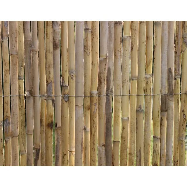 Canisse - Natur - Natürliche Premium-schilfrohre - 3 X 1 M