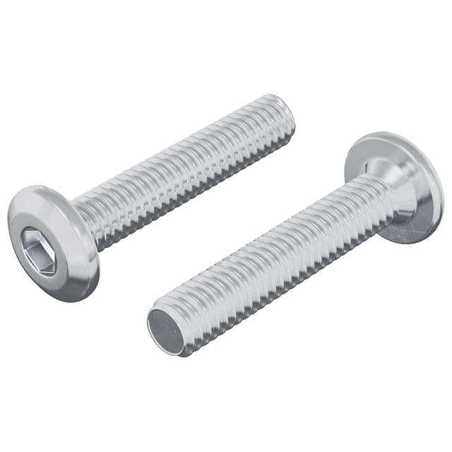 vidaXL Kopf-Sicherungsschraube 2 Stk Silber M6 x 30 mm Stahl 864577