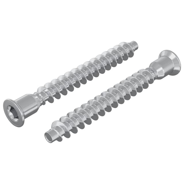 vidaXL Confirmat-Schrauben 2 Stk Silber Ø7 x 58 mm Metall 864385