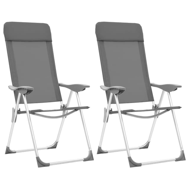 vidaXL Klappbare Campingstühle 2 Stk Grau Aluminium 44304