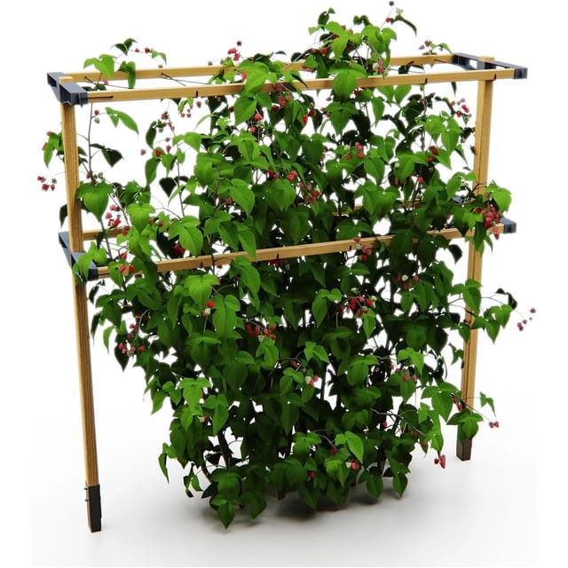 Gusta Garden Rankhilfe Berry Buddy Höhe 360 cm