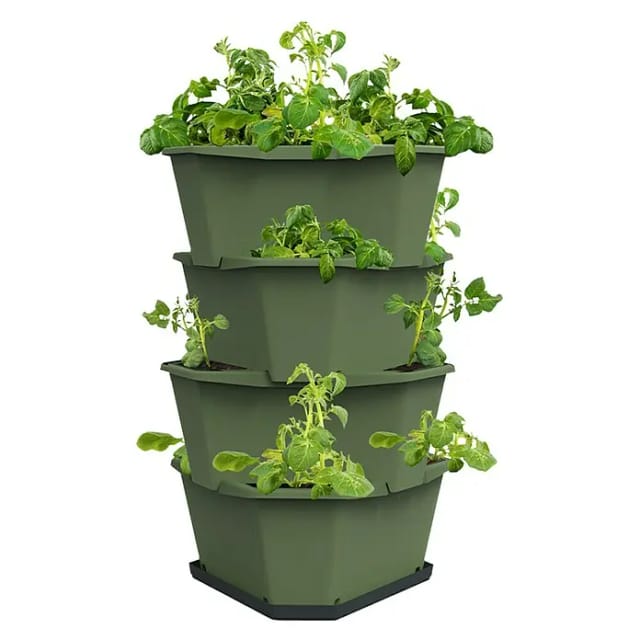 Gusta Garden Anzuchtsgefäß Paul Potato 56 L dunkelgrün