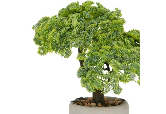 Kunstbonsai Bonsai Sedum multiceps, Creativ green, Höhe 24 cm, mit modernem Pflanzgefäß