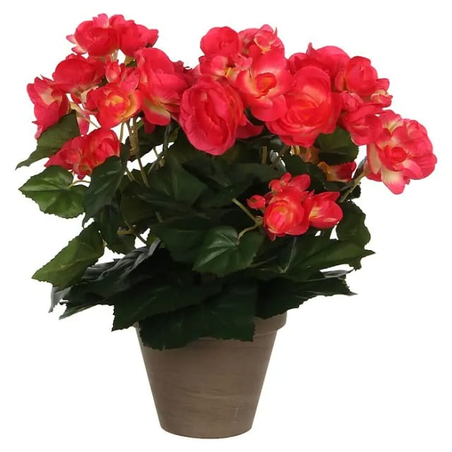 Kunstblume Begonia Dunkelrosa Topf-Ø 11,5 cm H 30 cm, Ø: 25 cm