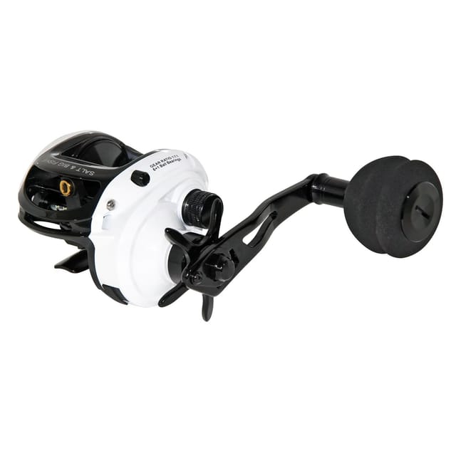 WFT Salt & Big Fish II Baitcastrolle Linkshand