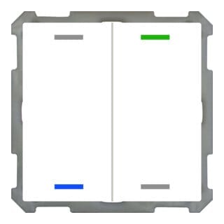 MDT technologies Taster Light 63 2-fach RGBW,Studiows,glä BE-TAL63T2.01