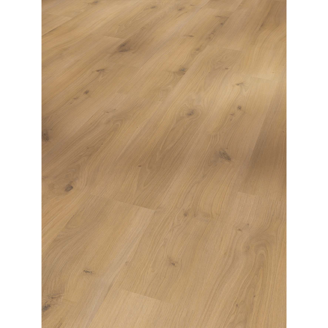 Parador Laminat 'Basic 400' Eiche Horizont Natur eichefarben 8 mm