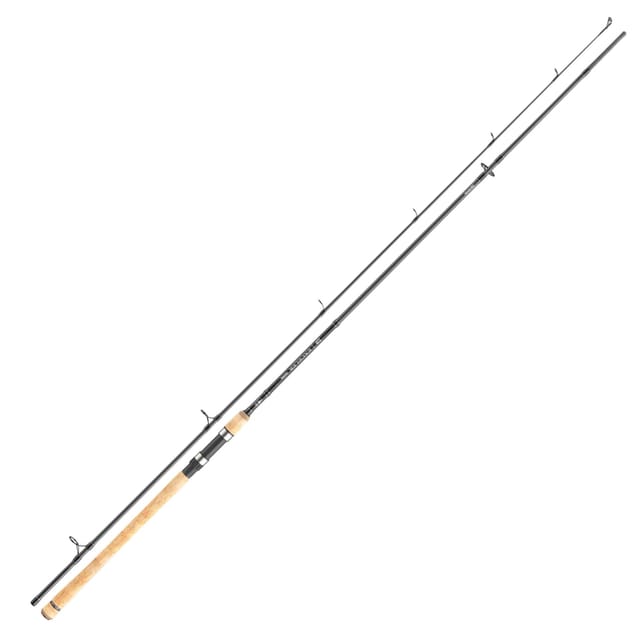 Daiwa Exceler Trad. 2.70m 10-40g Spinnrute