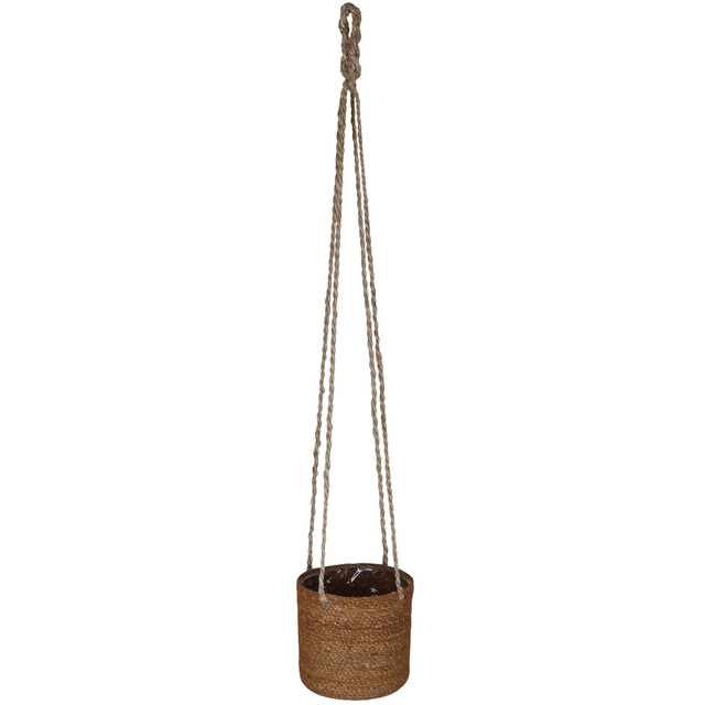 Hängeampel Hogla-Gras natur mit Polybeutel Ø 14 x 14 cm