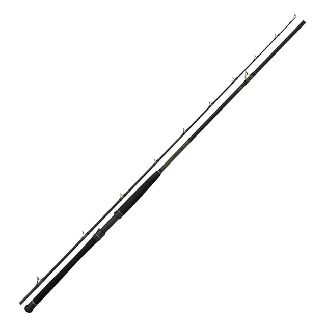 Black Cat Blade 2,65m 30Lbs Wels-Allroundrute